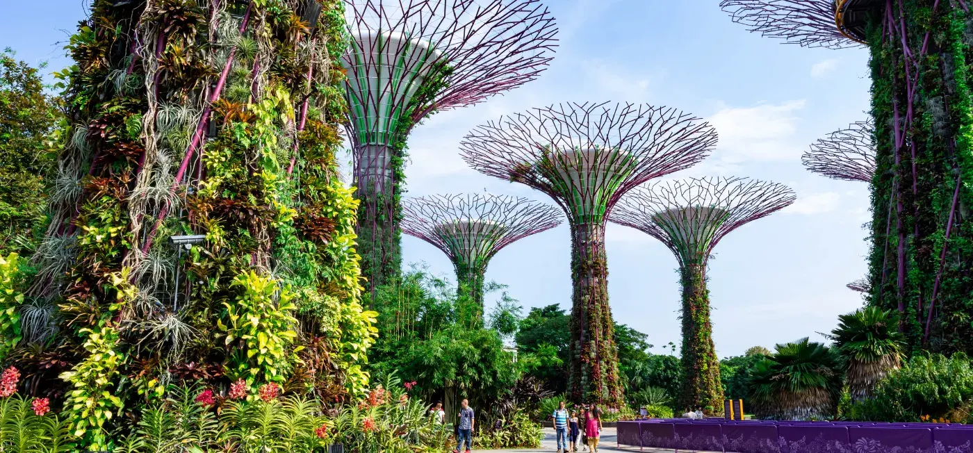 Supertree Grove at Gardens View of Singapore, Malaysia